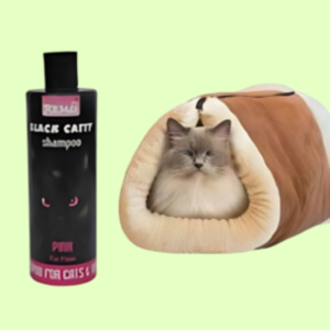 cat-accessories